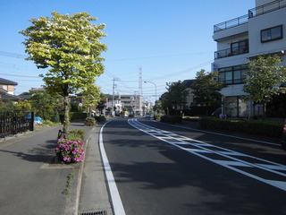 nishitomioka-seibizumi